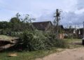 Mažeikiai po audros – vertinama situacija, šalinami padariniai
