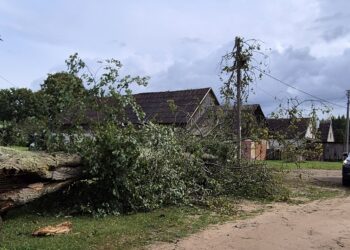 Mažeikiai po audros – vertinama situacija, šalinami padariniai