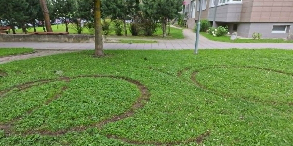 Išvažinėta žalia veja/Mažeikių raj.sav.nuotr.