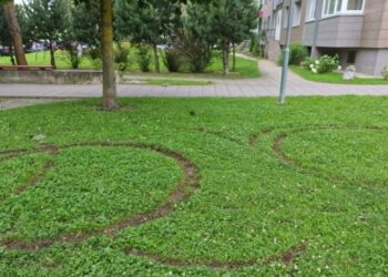 Mažeikių rajono savivaldybė ragina gyventojus laikytis Kelių eismo taisyklių, tausoti aplinką