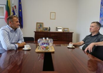 Šiauliai telkiasi dar ryžtingesniems veiksmams saugant miesto simboliu tapusius apuokus