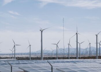Pasirašyta sutartis dėl „Plungės energijos parko“ steigimo