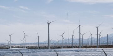 Pasirašyta sutartis dėl „Plungės energijos parko“ steigimo