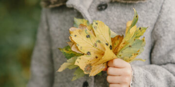 Rudens lapai/Magnific