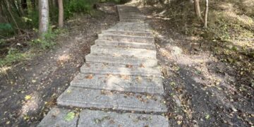 „Miško laiptai“ /Klaipėdos m.sav.nuotr.