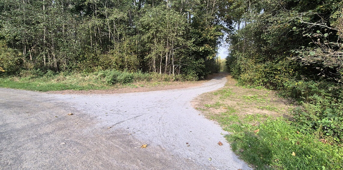 Naujas pėsčiųjų ir dviračių takas/Mažeikių raj.sav.nuotr.