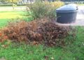 Klaipėdoje sudarytos patogios sąlygos tinkamai tvarkyti žaliąsias atliekas