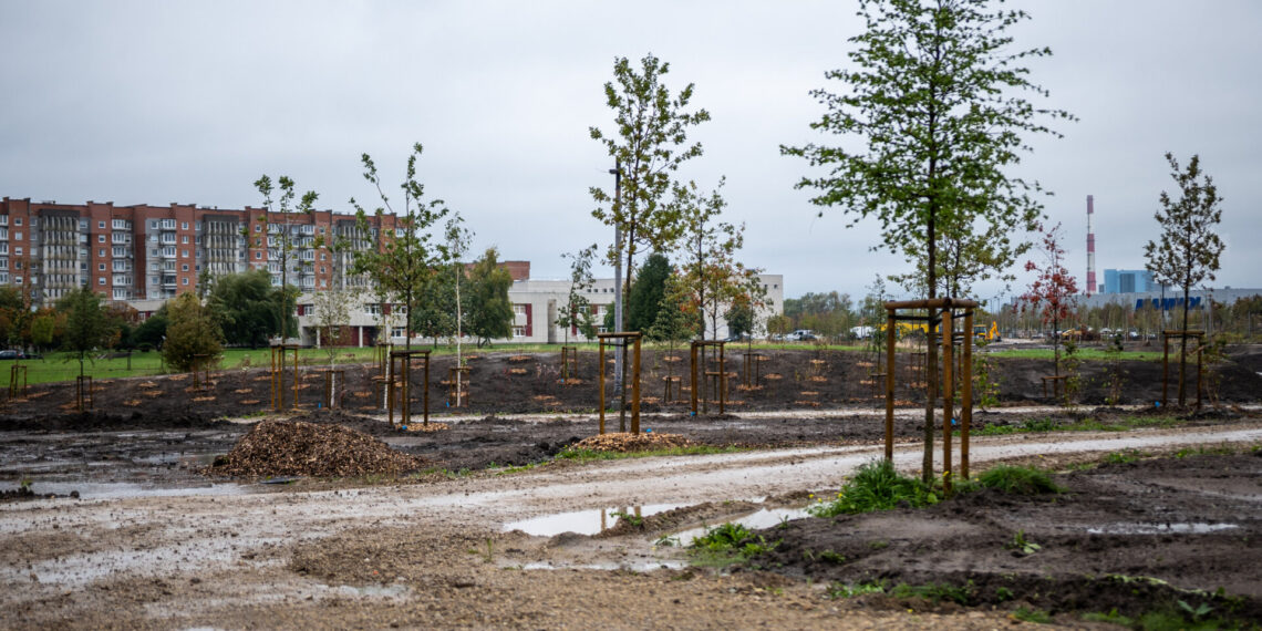Kuriamas naujas parkas/Klaipėdos m.sav.nuotr.